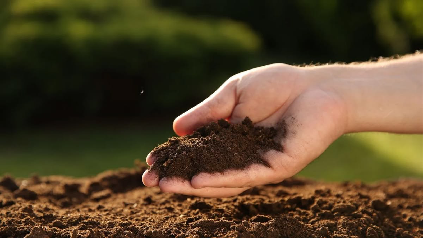 Plant care product image
