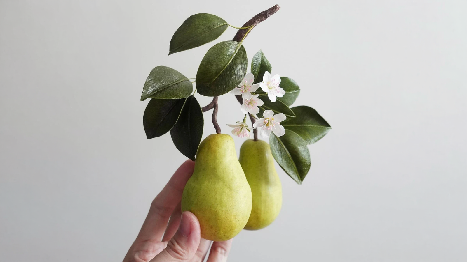 Plant on a shelf with warm light
